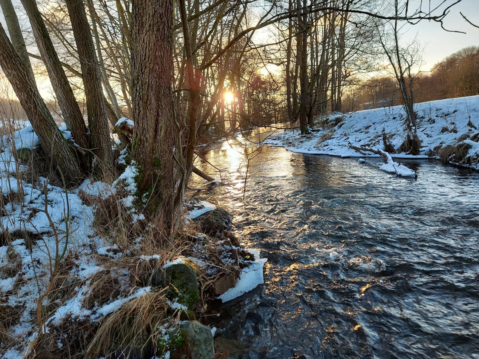 Schönau an der Brend Gaestehaus Hochrhoenblick מראה חיצוני תמונה