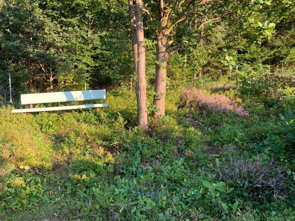 Schönau an der Brend Gaestehaus Hochrhoenblick מראה חיצוני תמונה
