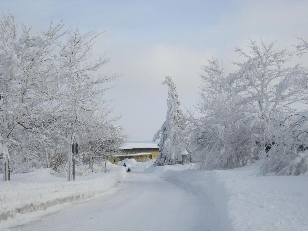 Schönau an der Brend Gaestehaus Hochrhoenblick מראה חיצוני תמונה